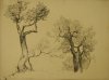 1928 - Ulivi a Sorrento (2)